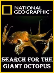National Geographic. В поисках гигантского осьминога