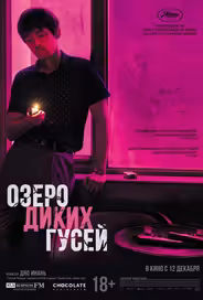 Озеро диких гусей
