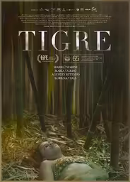 Тигр
