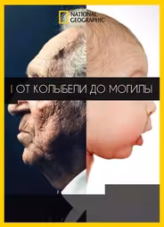 От колыбели до могилы