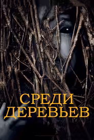 За деревьями