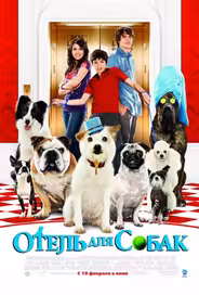 Отель для собак