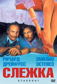 Слежка