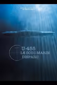 U-455. Тайна пропавшей субмарины