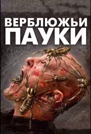 Верблюжьи пауки