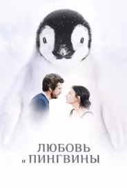 Любовь и пингвины