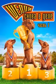 Шелли снова в деле: Часть 1