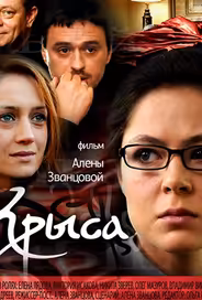 Крыса