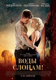 Воды слонам