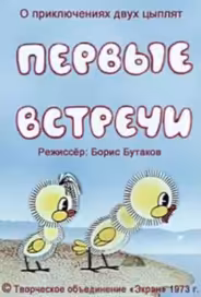 Первые встречи