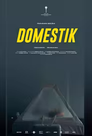 Домашний режим