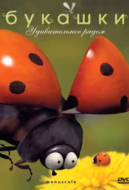 Букашки