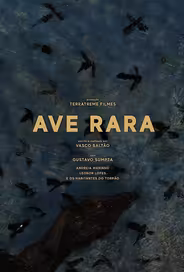 Редкая птица