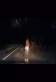 Регистратор