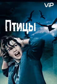 Птицы