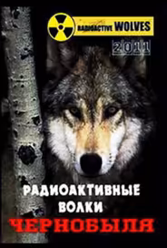 Радиоактивные волки Чернобыля