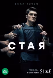Стая