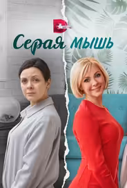Серая мышь