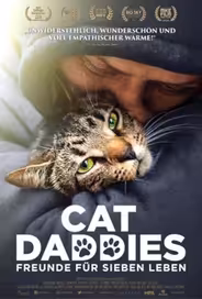 Котики
