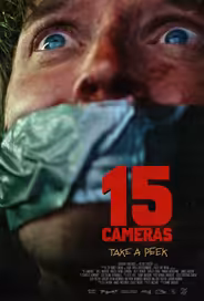 15 камер