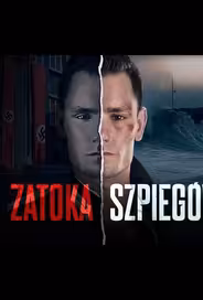 Шпионская бухта
