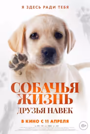 Собачья жизнь: Друзья навек