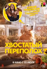 Хвостатый переполох