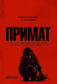 Примат