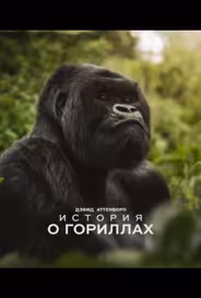 Дэвид Аттенборо. История о гориллах