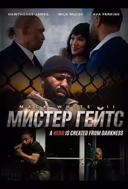 Мистер Гейтс
