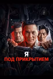 Я под прикрытием