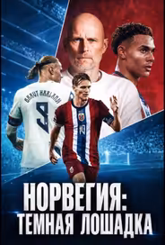 Норвегия: Темная лошадка