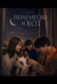 Полумесяц и кот