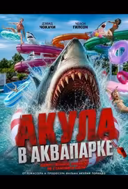 Акула в аквапарке