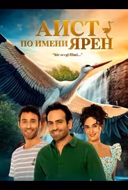 Аист по имени Ярен