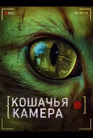 Кошачья камера